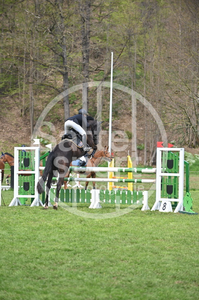 DSC_2443 | sattelsport - Realisiert mit Pictrs.com