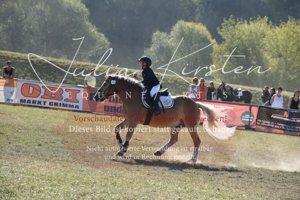 DSC_5796 | Pferde- und Turnierfotografie in Westsachsen. Pferdeportraits, Auftragszeichnungen und intuitive Kunst.