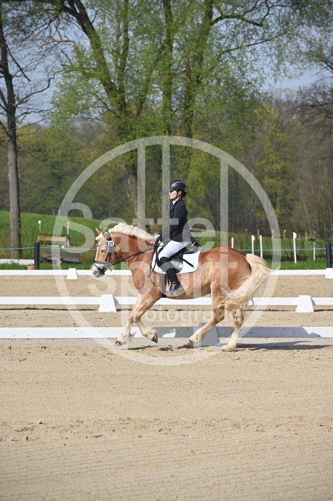 DSC_0308 | sattelsport - Realisiert mit Pictrs.com