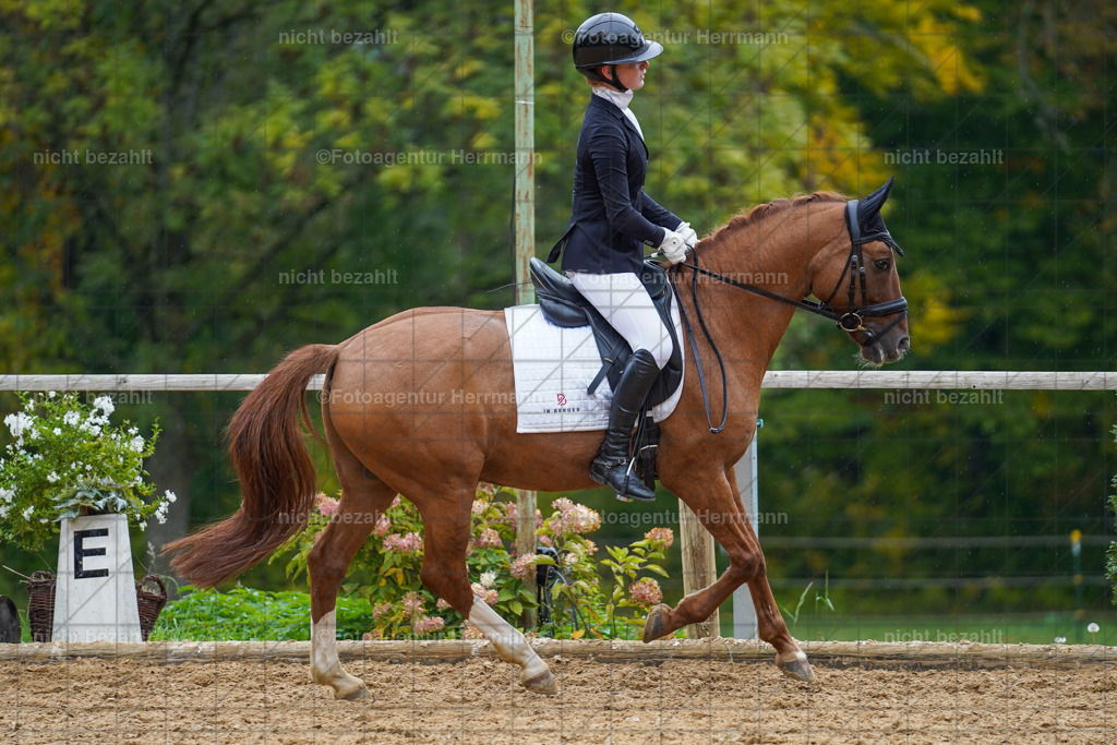 20221008-FAH01864 | Diessen am Ammersee, 2022, Dressur- und Springturnier, Reitsportbilder, Turnierfotografen Bayern, Pferdefotografen, Fotoagentur Herrmann, Turnierbilder