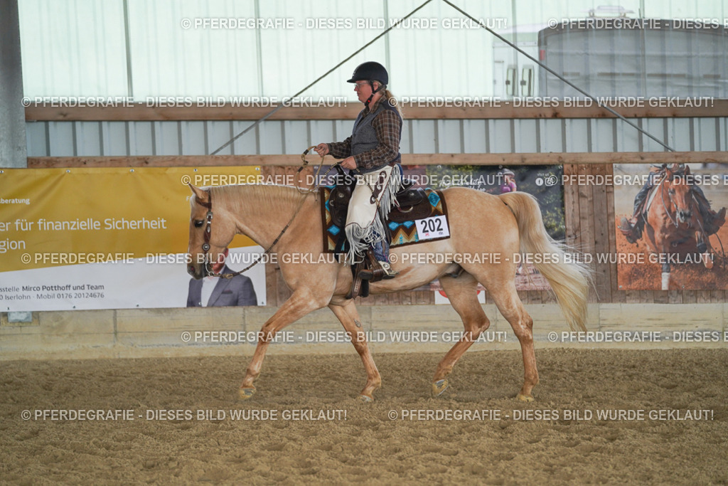 DSC00911 | Pferdegrafie