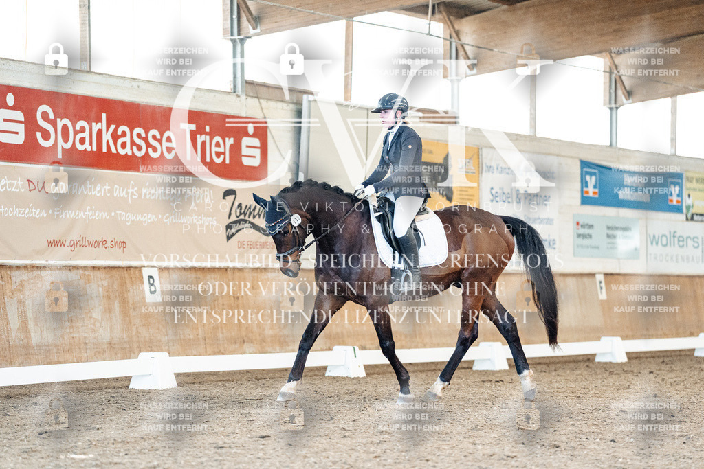 CK908508 | Turnierfotografie Pferdefotografie Trier Rheinland-Pfalz Pferdesport Reitsport Tierfotografie Sportfotografie Pferdevideo Pferdevideografie Equestrianvideography equestrianphotography  - Realisiert mit Pictrs.com