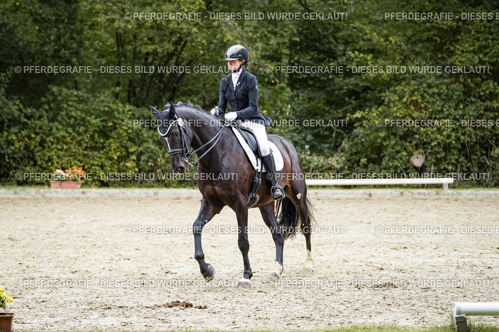 DSC01325 | Pferdegrafie