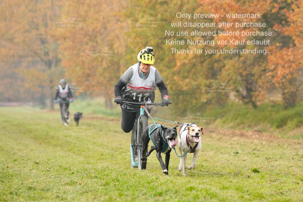 Visbeck_Sa_DS2DR2-110 | stephaniefillaphotographie - Realisiert mit Pictrs.com