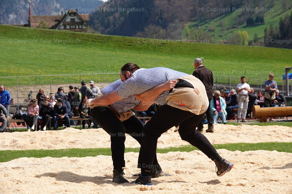 DSC03147 | Schwingen - Realisiert mit Pictrs.com