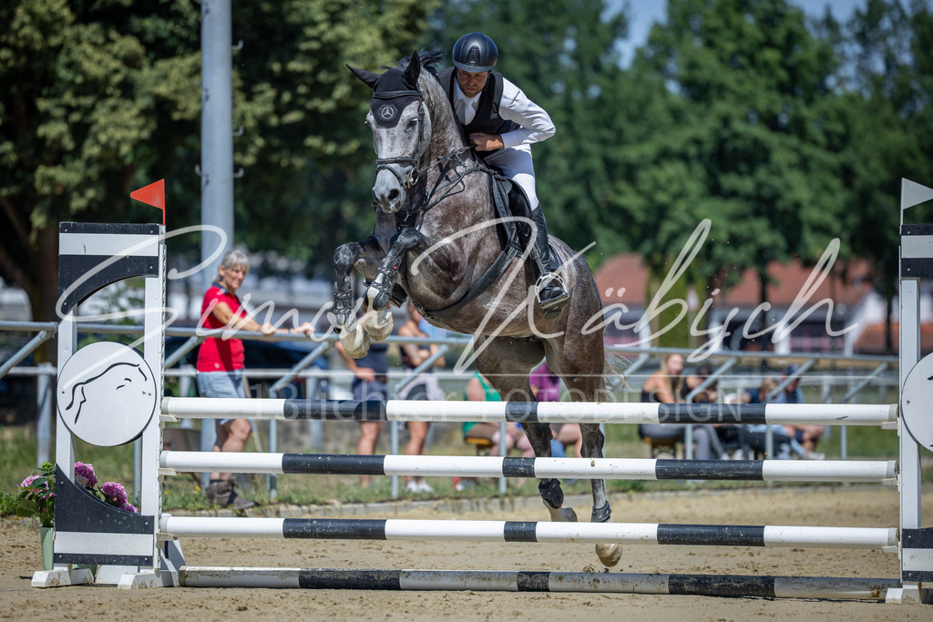 20260704-_3LI8029 | Tierfotografie Pferde, Hunde, Katzen, Haustiere.
Turnierfotografie Reitturniere, Reiten, Springreiten, Dressur in Hanau, dem Main-Kinzig-Kreis und dem Rhein-Main- Gebiet um Frankfurt