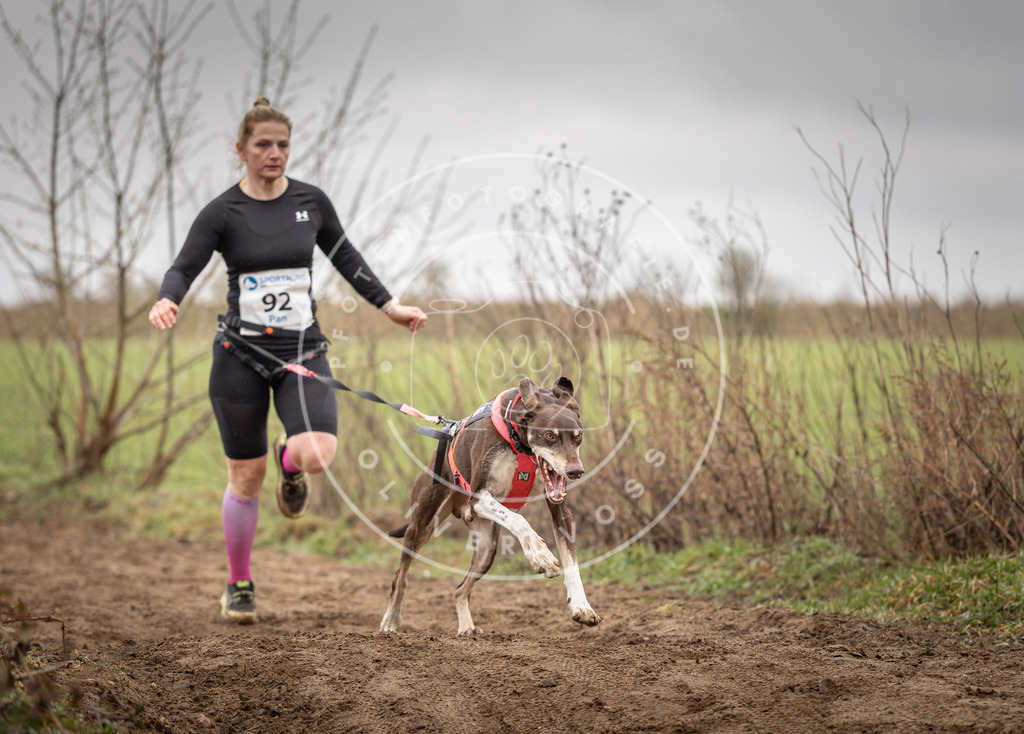 DV3A0021 | Hundefotografie, Tierfotograf, Pfotenfotografie, Fotoshooting Hund, Hunde Portrait, Hundesport, Hundeportraits, Heideshooting, Hunde, Sportfotograf, Hundefotograf, Turnierhundsport, THS,  - Realisiert mit Pictrs.com