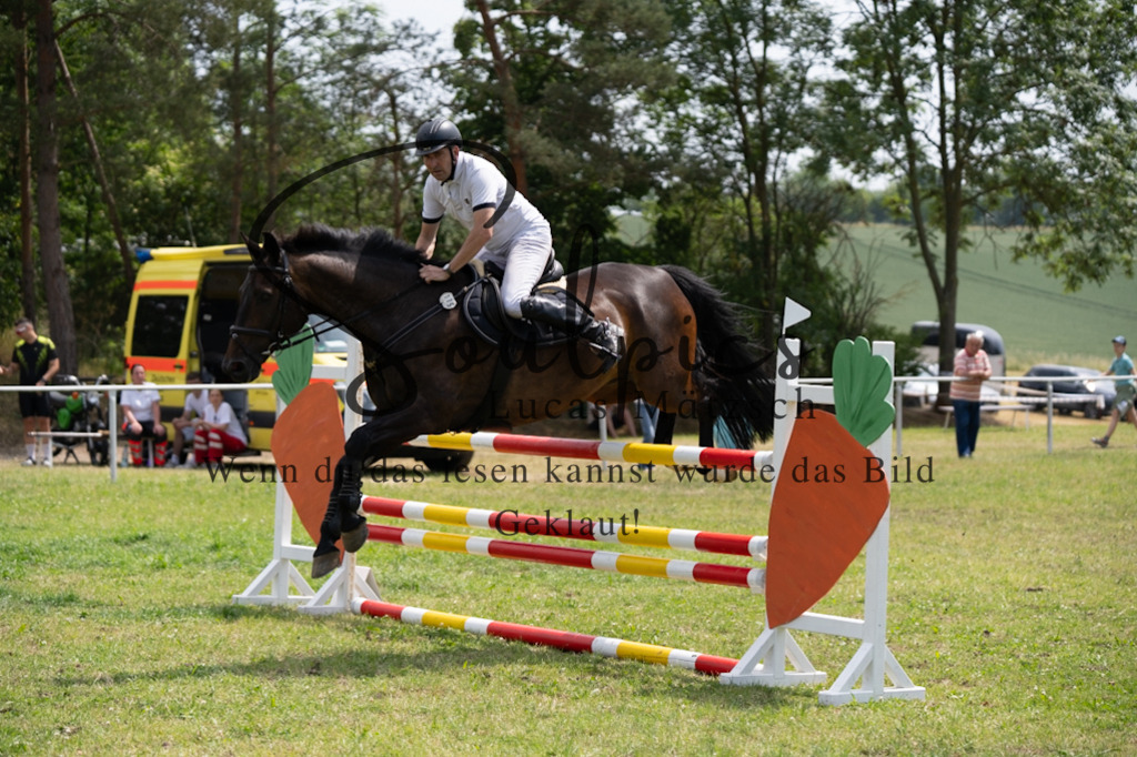 A7V07252 | Pferdefotograf