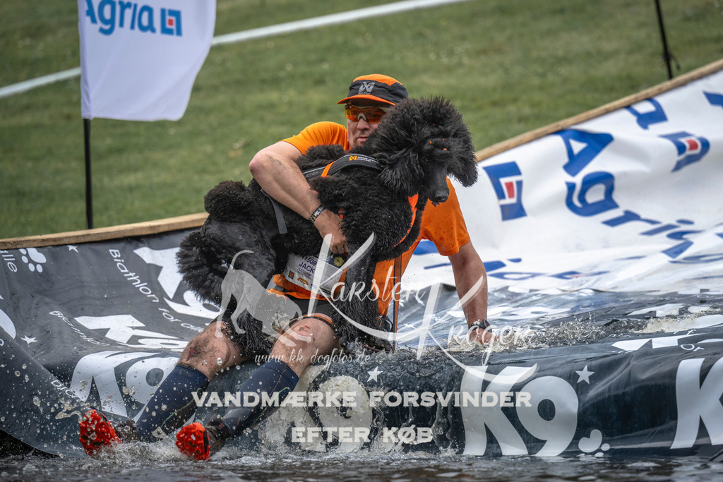 1504_ZZ93398 | kk-dogfotos