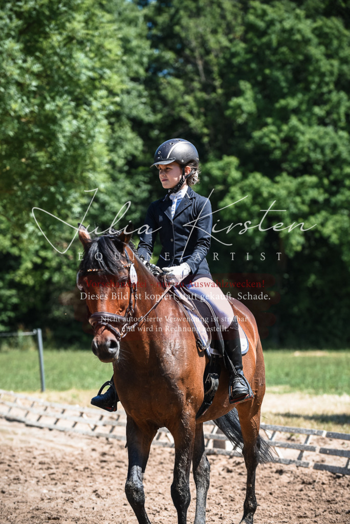 DSC_2854 | Pferde- und Turnierfotografie in Westsachsen. Pferdeportraits, Auftragszeichnungen und intuitive Kunst.
