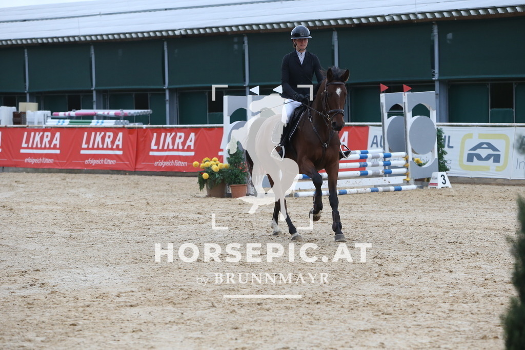 DL2Q0294 | Willkommen bei Brunnmayr - Design & Fotografie – Ihrem Spezialisten für Reitturniere und Pferdeveranstaltungen in Oberösterreich, Salzburg und Bayern! Seit über 17 Jahren sind wir leidenschaftlich dabei.