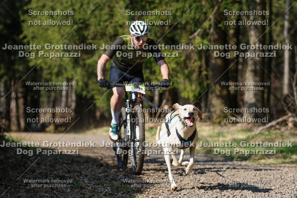 Dog Paparazzi - VCC26-140 | Dog Paparazzi Jeanette Grottendiek Fotografie & Videografie - Realisiert mit Pictrs.com