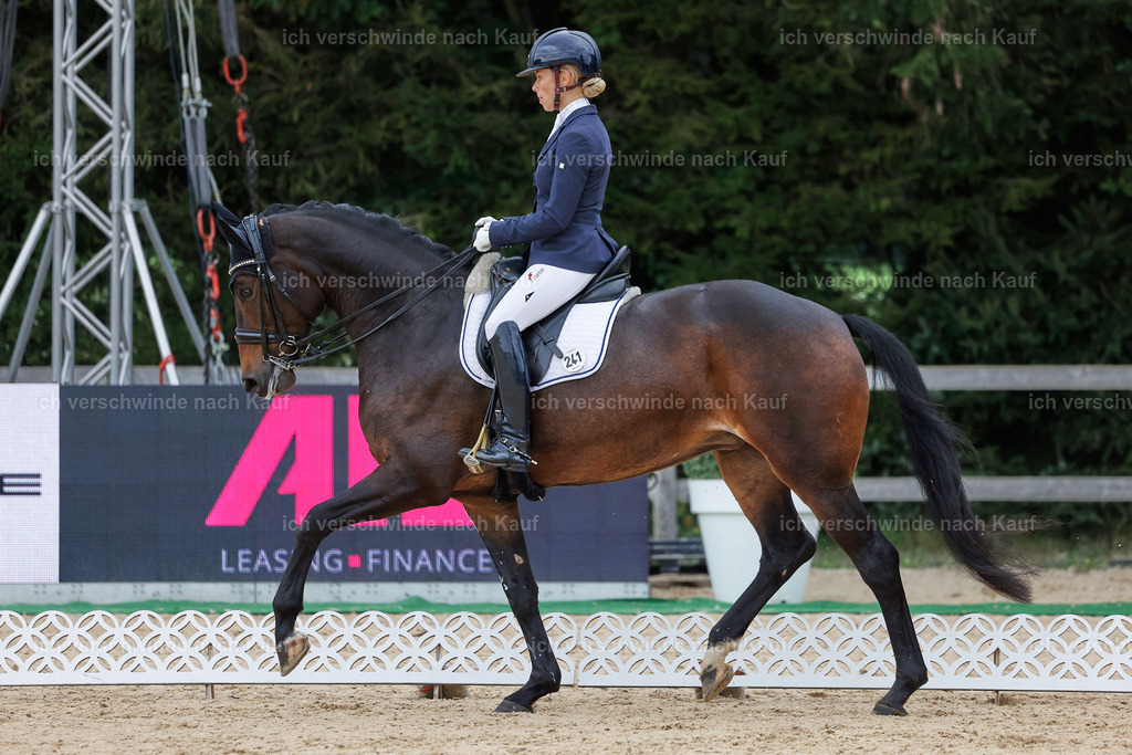 3-241-Dressur M_-StoibPH-2324 | working equitationturnier fotograf videograf stoibphotography marixx film working equitation deutschland reitsport turnierfotografie eventfotografie equestrian events