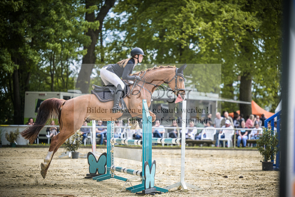 DOS_1101 | Entdecke hochwertige Reitturnierfotos von Foto Oger. Professionell, emotional und authentisch – jetzt Lieblingsmomente im Shop bestellen.Deutschlandweite Turnierfotografie. - Realisiert mit Pictrs.com