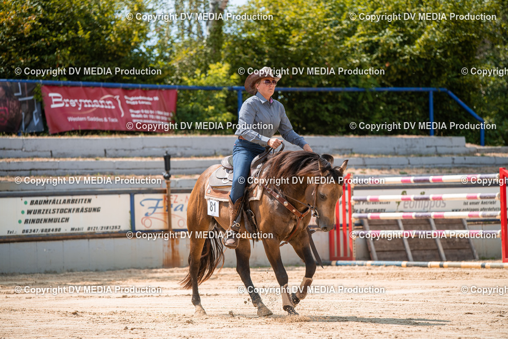 ZS2_8307 | dv-media-shop - Realisiert mit Pictrs.com