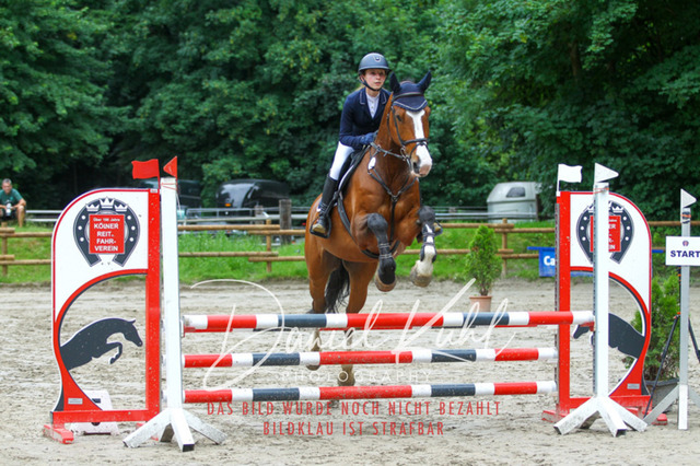 DKP44936 | Turniersportfotografie; Pferdefotografie; Dressurfotografie