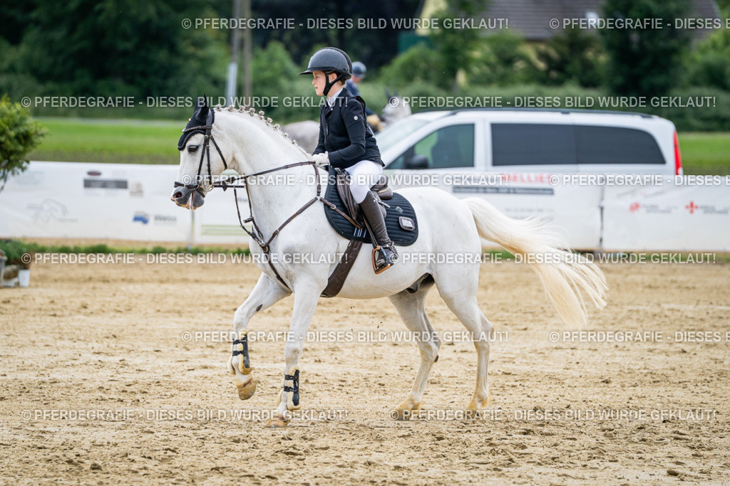 DSC05532 | Pferdegrafie