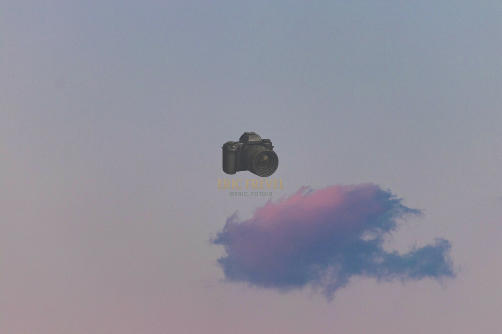 _MG_0405 | Photography by Eric Frevel - Realisiert mit Pictrs.com
