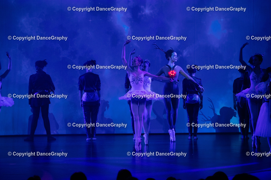 GPHY1718 | DanceGraphy - Realisiert mit Pictrs.com