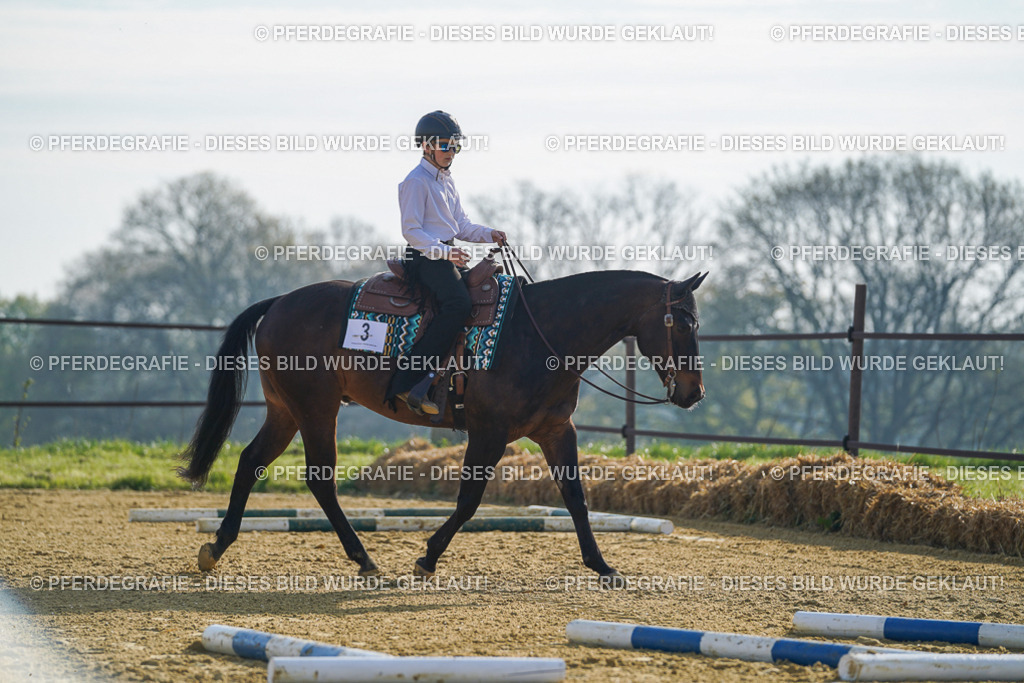 DSC00788 | Pferdegrafie