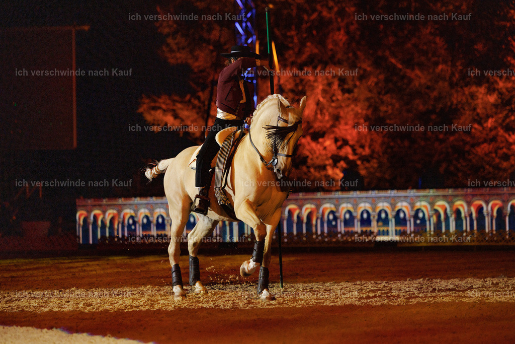 FHClassics-177 | working equitationturnier fotograf videograf stoibphotography marixx film working equitation deutschland reitsport turnierfotografie eventfotografie equestrian events