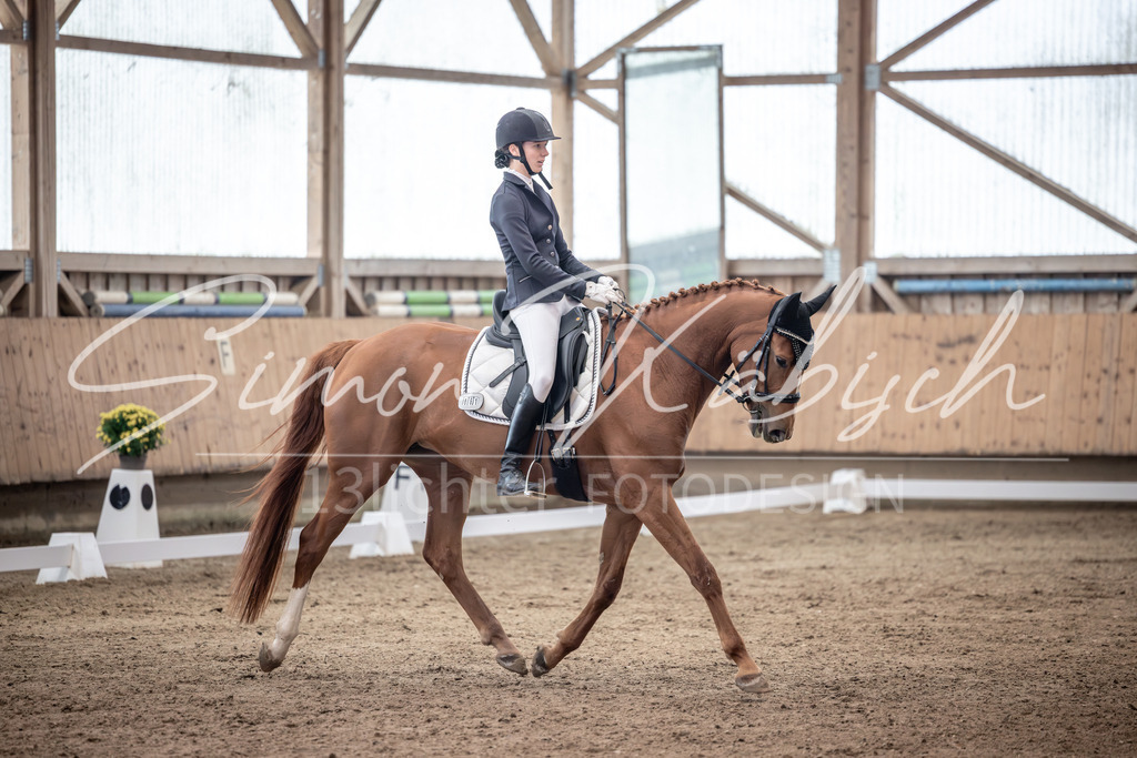 20251011-_3LI0153 | Tierfotografie Pferde, Hunde, Katzen, Haustiere.
Turnierfotografie Reitturniere, Reiten, Springreiten, Dressur in Hanau, dem Main-Kinzig-Kreis und dem Rhein-Main- Gebiet um Frankfurt