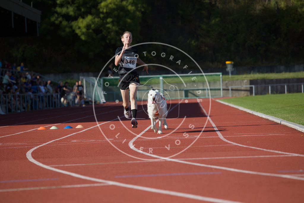 0L8A9351 | Hundefotografie, Tierfotograf, Pfotenfotografie, Fotoshooting Hund, Hunde Portrait, Hundesport, Hundeportraits, Heideshooting, Hunde, Sportfotograf, Hundefotograf, Turnierhundsport, THS,  - Realisiert mit Pictrs.com
