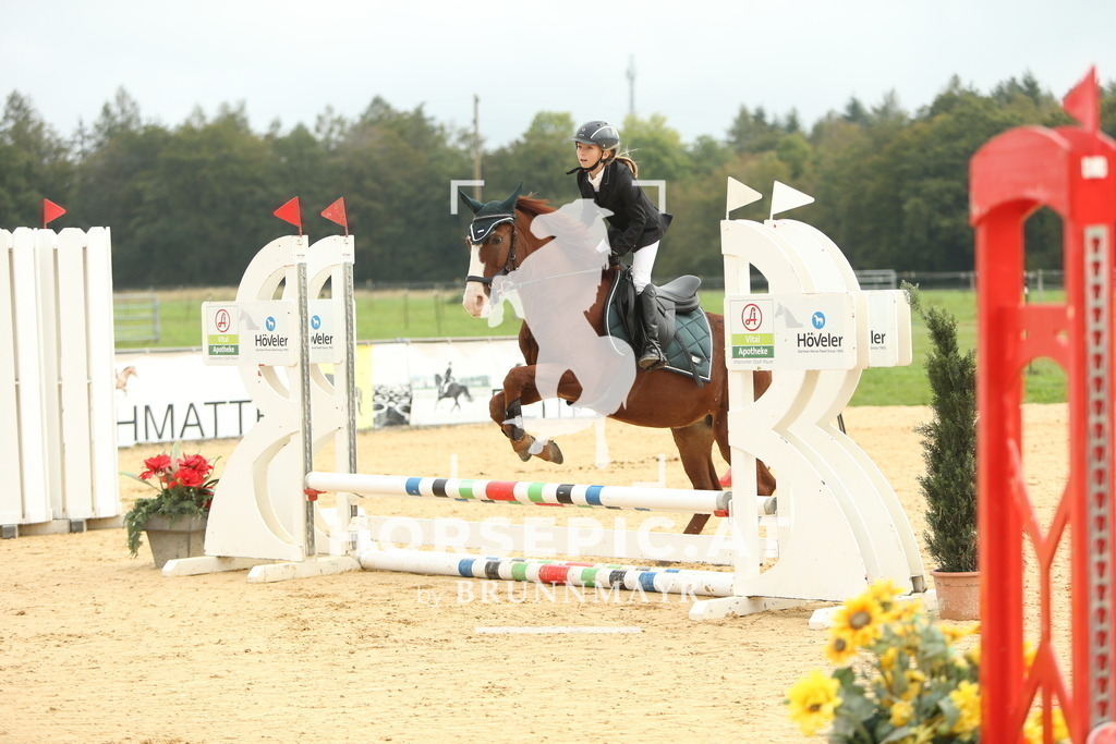 DL2Q3366 | Willkommen bei Brunnmayr - Design & Fotografie – Ihrem Spezialisten für Reitturniere und Pferdeveranstaltungen in Oberösterreich, Salzburg und Bayern! Seit über 17 Jahren sind wir leidenschaftlich dabei.