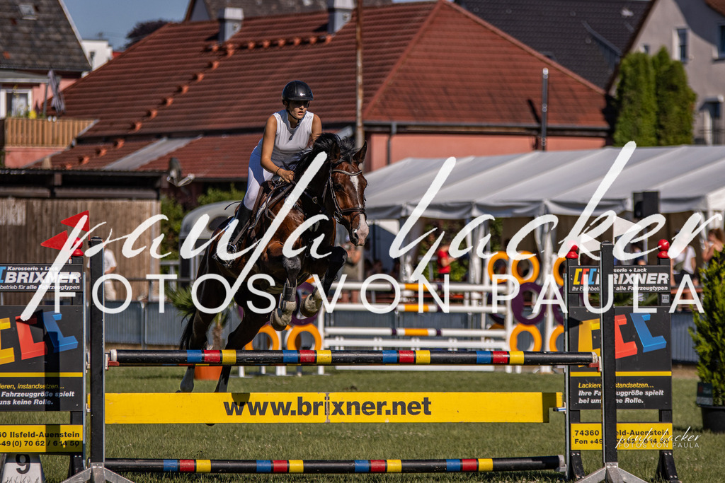 IMG_9864 | Erleben Sie dynamische Sport- und emotionale Tierfotografie in Süddeutschland mit Fotos von Paula. Spezialisiert auf Pferde- und Hundefotografie sowie Sportevents. Kontaktieren Sie mich für einzigartige und ausdrucksstarke Bilder Ihrer besonderen Momente.