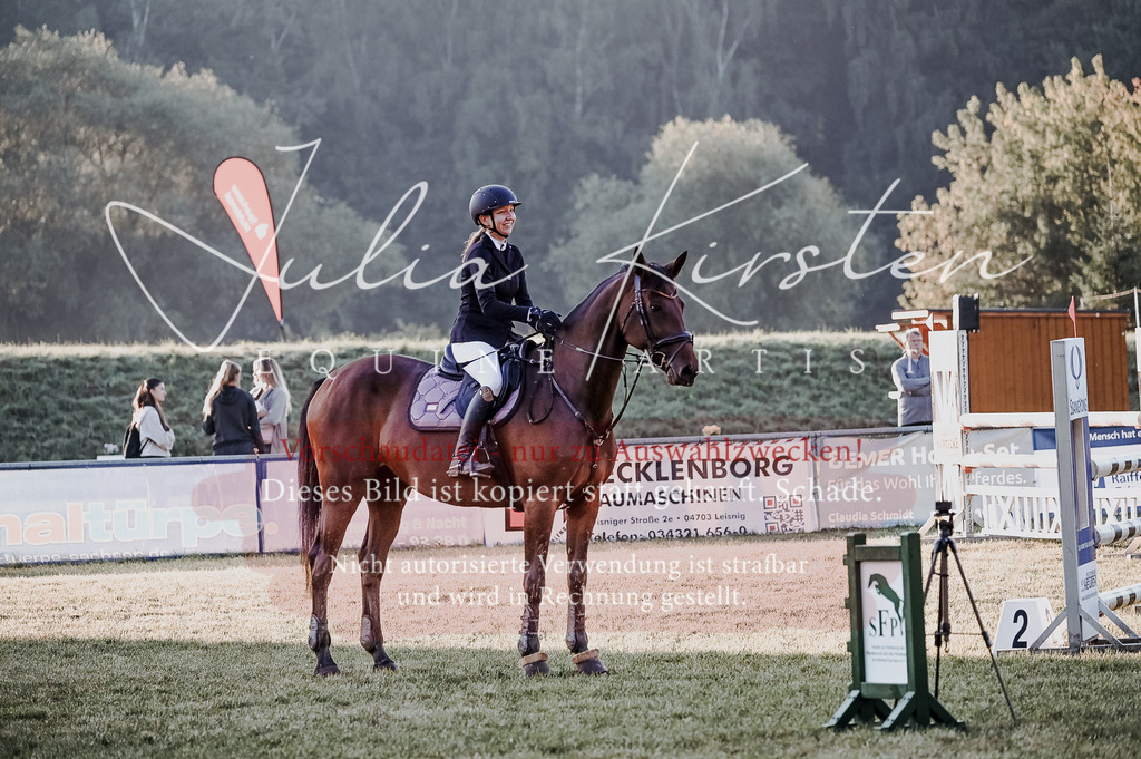 DSC_3771 | Pferde- und Turnierfotografie in Westsachsen. Pferdeportraits, Auftragszeichnungen und intuitive Kunst.