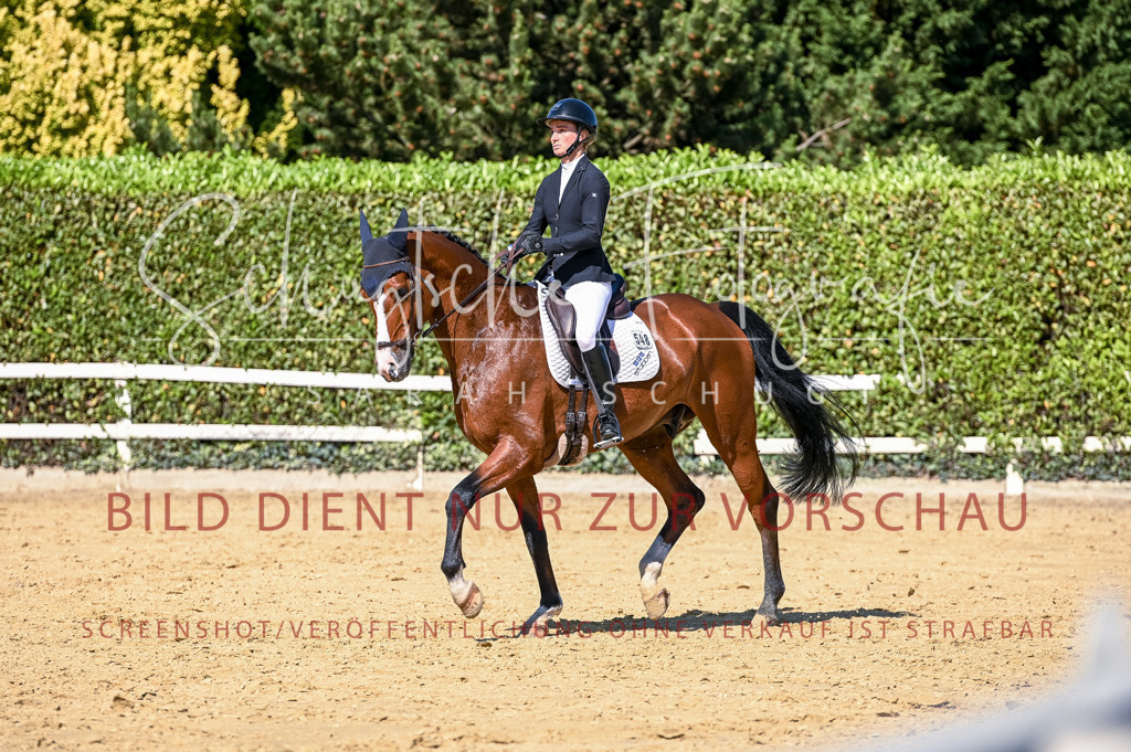 Schugtsche-Aluta25-50.Dressurpferdeprf.L-139 | Schugtsche Fotografie - Realisiert mit Pictrs.com