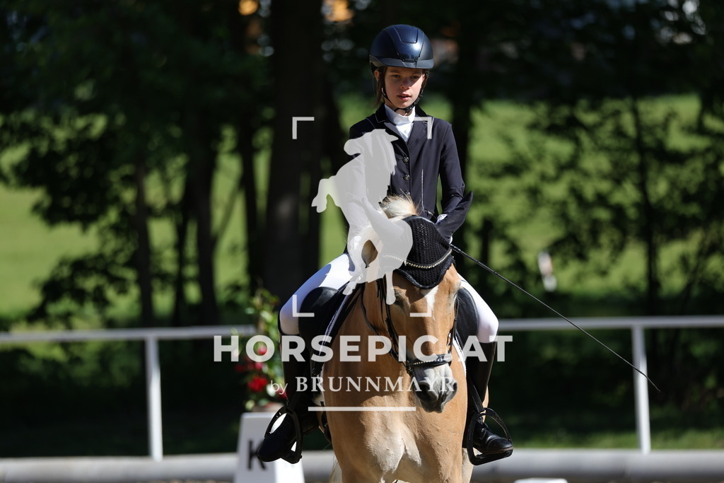 0P6A9674 | Willkommen bei Brunnmayr - Design & Fotografie – Ihrem Spezialisten für Reitturniere und Pferdeveranstaltungen in Oberösterreich, Salzburg und Bayern! Seit über 17 Jahren sind wir leidenschaftlich dabei.