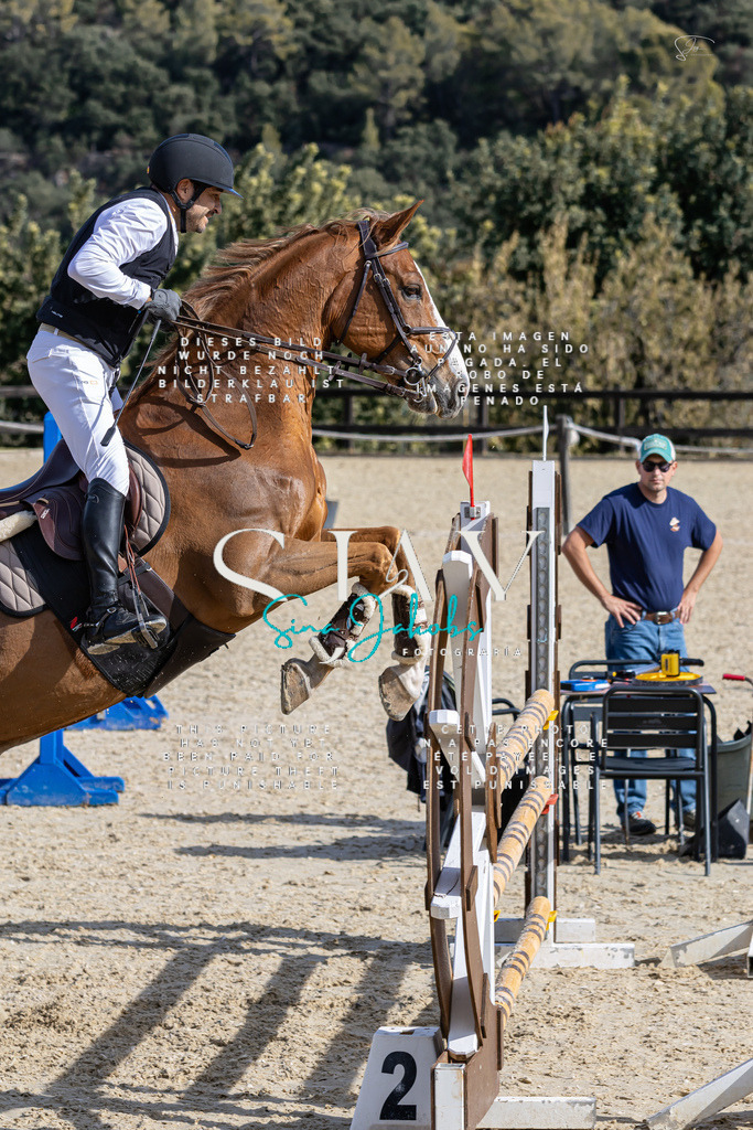 IMG_0421 | s-jay-photography - Realisiert mit Pictrs.com