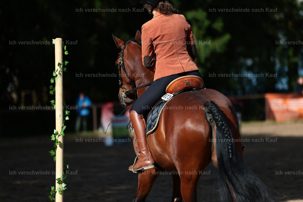 KlasseL_Stoibphotography_CAM24045.JPG | working equitationturnier fotograf videograf stoibphotography marixx film working equitation deutschland reitsport turnierfotografie eventfotografie equestrian events