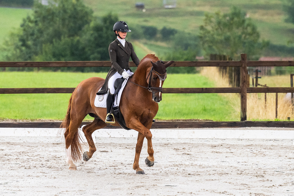 Luxembourg Dressage Championship 2025 - Senior League A (Elite) | Luxembourg Dressage Championship 2025 - Mandy Zimmer on Dragon Welt - Realisiert mit Pictrs.com