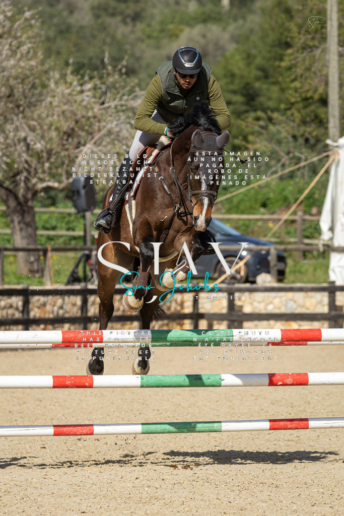 IMG_6761 | s-jay-photography - Realisiert mit Pictrs.com