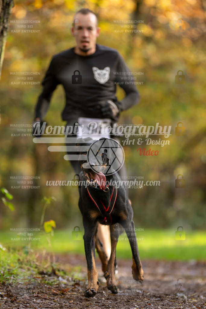 MompixPhotography_Bischwiller23_Canicross-35 | PayLife