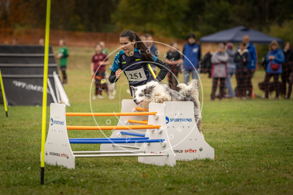 Pfotenfotografie_DV3A6101 | Hundefotografie, Tierfotograf, Pfotenfotografie, Fotoshooting Hund, Hunde Portrait, Hundesport, Hundeportraits, Heideshooting, Hunde, Sportfotograf, Hundefotograf, Turnierhundsport, THS,  - Realisiert mit Pictrs.com
