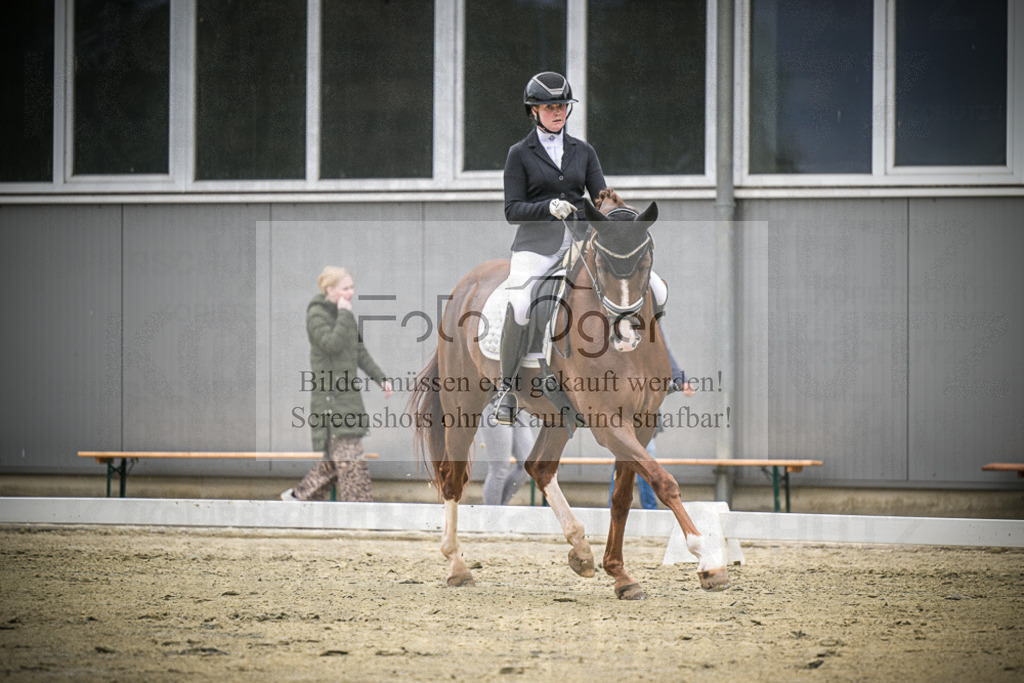 DOS_0621 | Entdecke hochwertige Reitturnierfotos von Foto Oger. Professionell, emotional und authentisch – jetzt Lieblingsmomente im Shop bestellen.Deutschlandweite Turnierfotografie. - Realisiert mit Pictrs.com