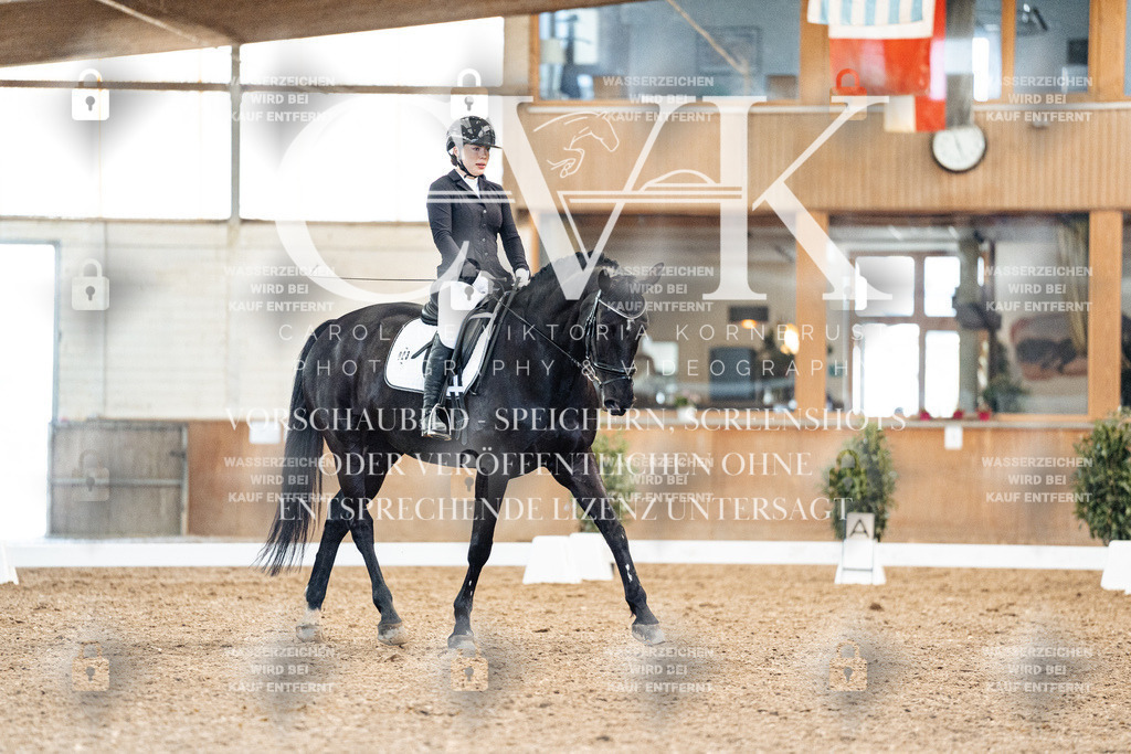 CK909456 | Turnierfotografie Pferdefotografie Trier Rheinland-Pfalz Pferdesport Reitsport Tierfotografie Sportfotografie Pferdevideo Pferdevideografie Equestrianvideography equestrianphotography  - Realisiert mit Pictrs.com