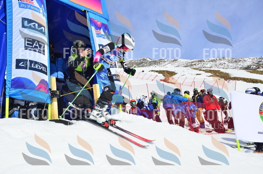 _ELE1388 | holidayphoto