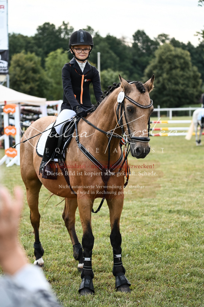 DSC_5768 | Pferde- und Turnierfotografie in Westsachsen. Pferdeportraits, Auftragszeichnungen und intuitive Kunst.