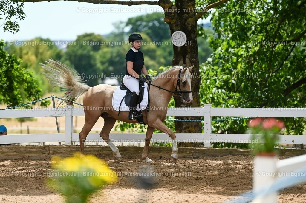 20230715_09_Dressur-WB_0514 | equistock
