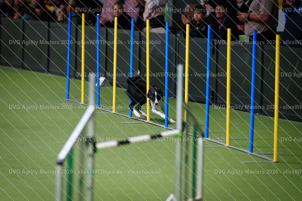 allesWIRTHgut_Tierfotografie-DVG_Agility_Masters_2026-09_27-7R501766 | Professionelle Tierfotografie in Mönchengladbach von Daniel Wirth (allesWIRTHgut). Liebevolle & natürliche Bilder von Hunden & Katzen für unvergessliche Erinnerungen.