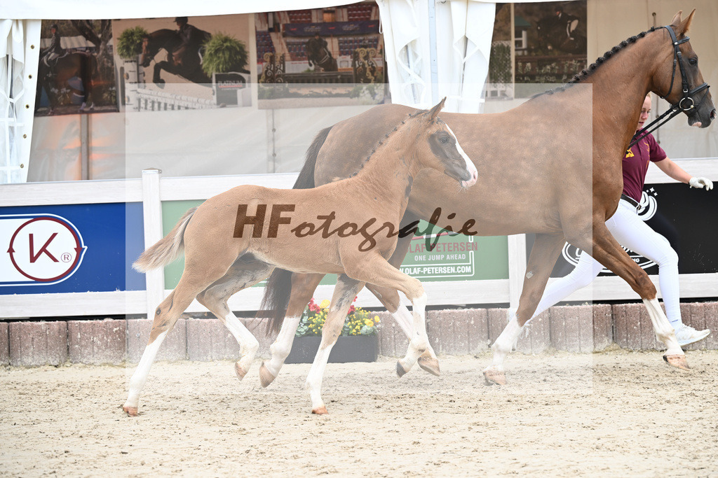 Filox x Borsalino_HF_Geiger_12250593 | hf-fotografie - Realisiert mit Pictrs.com