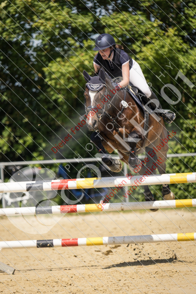 IMG_9613 | Sport-, Event- und Tierfotos in Profiqualität. Einfach auswählen, bestellen und herunterladen. Dein Moment – perfekt festgehalten.