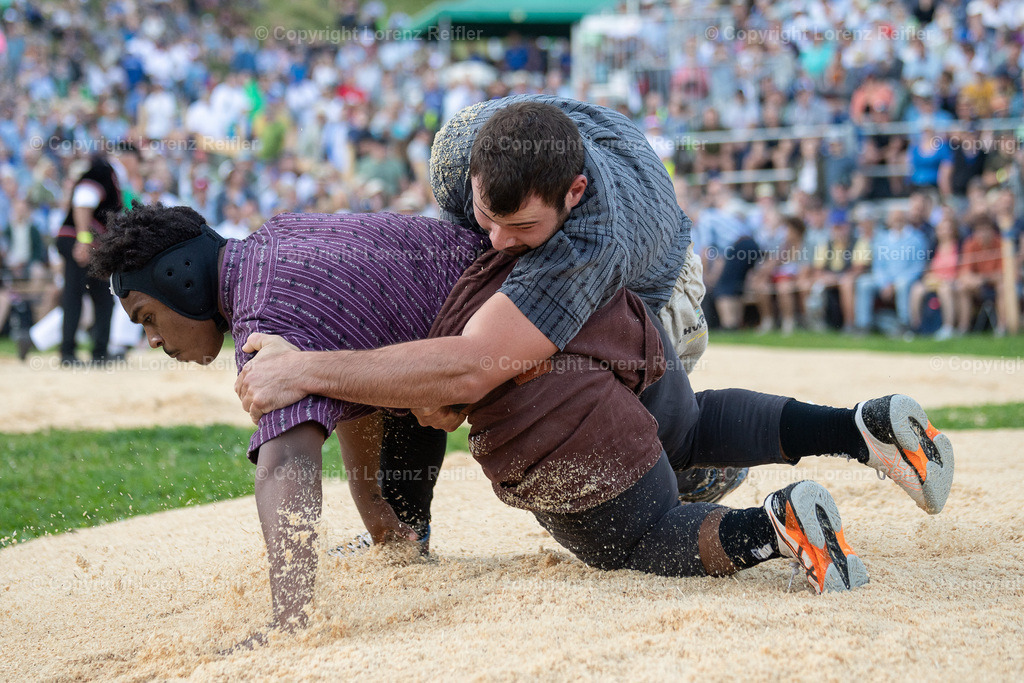 Schwingen -  Schwägalpschwinget 2023 | Schwägalp, 20.8.23, Schwingen - Schwägalpschwinget.