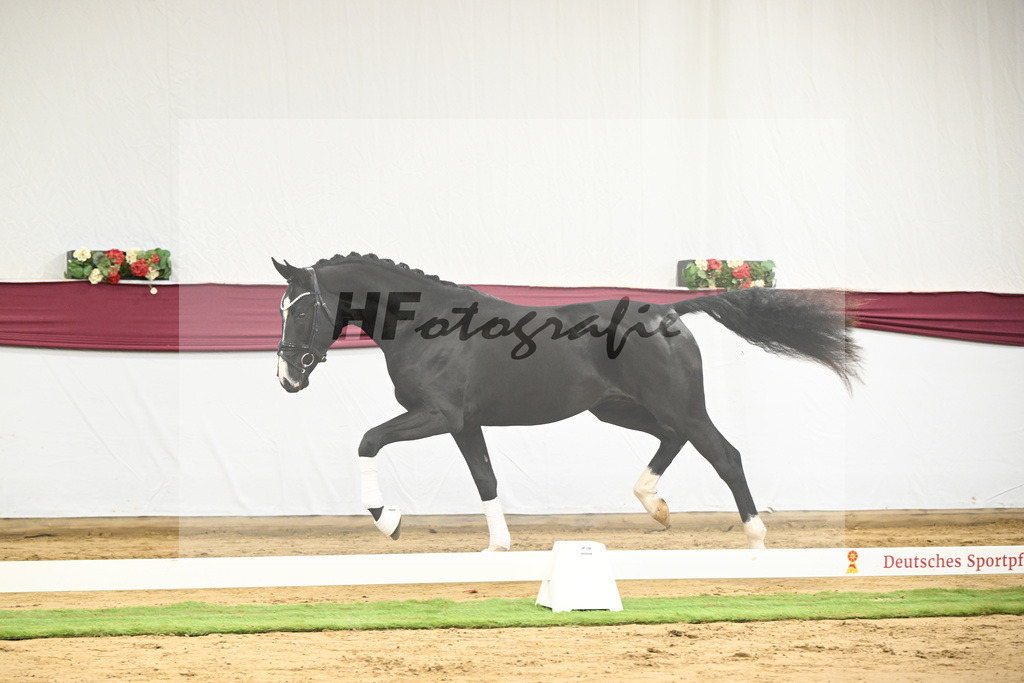 Kat-Nr. 59 Bloomberg x Gribaldi_T. _Stefan Schumacher_47252207 | hf-fotografie - Realisiert mit Pictrs.com