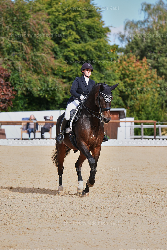 6-160-AMATUER-DRESSUR S_  -Marixx-3701 | working equitationturnier fotograf videograf stoibphotography marixx film working equitation deutschland reitsport turnierfotografie eventfotografie equestrian events