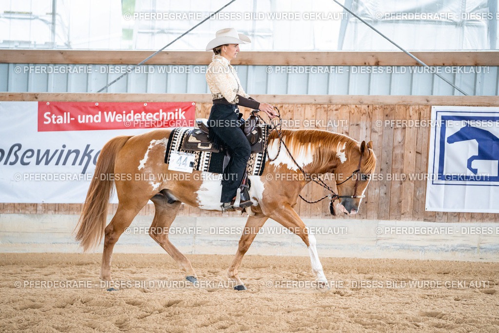 DSC02269 | Pferdegrafie